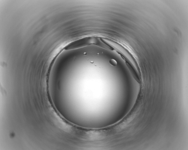 X0000091350898200708101528