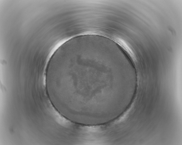 X0000091350900200708101528