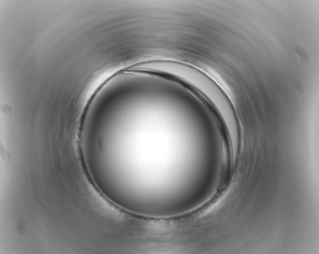 X0000091350901200708101528