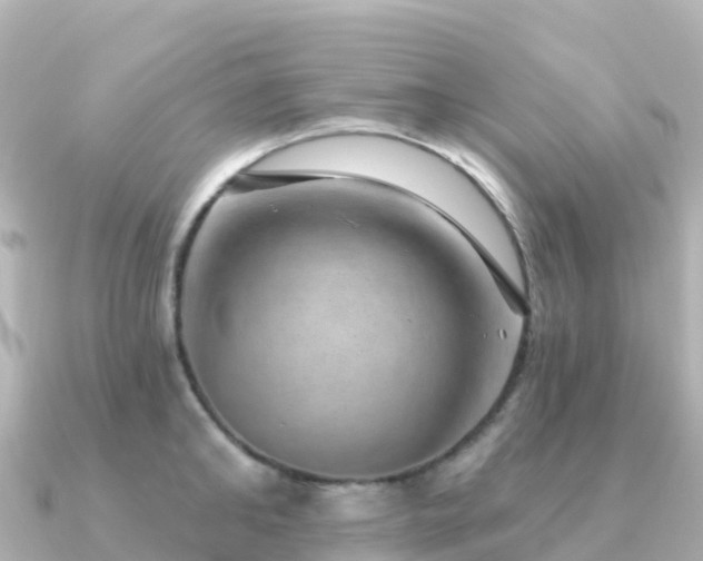 X0000091350902200708101528