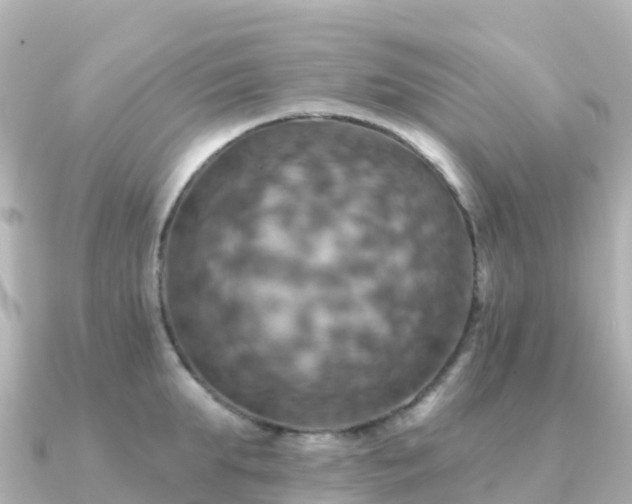 X0000091350903200708101528
