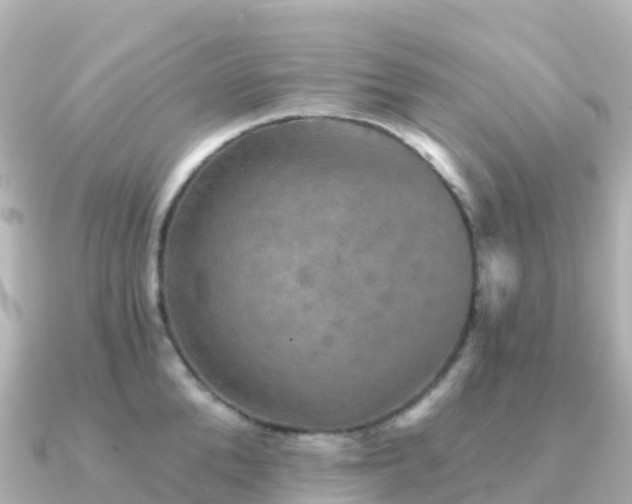 X0000091350904200708101528