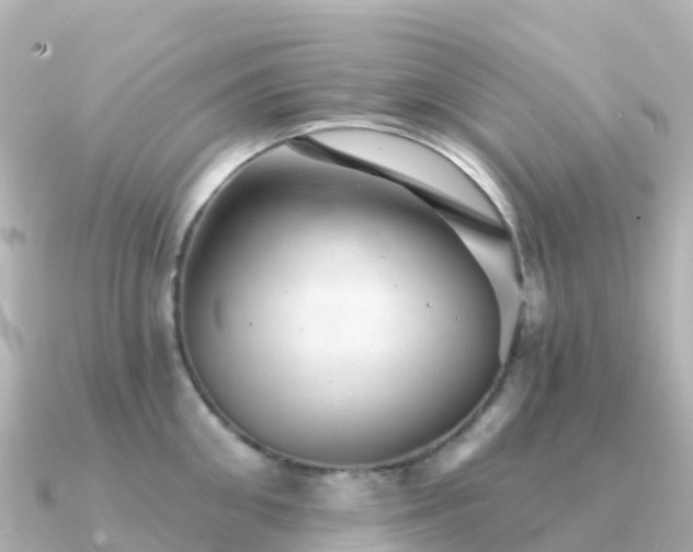 X0000091350906200708101528