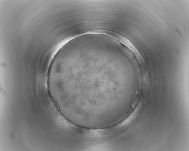 X0000091350908200708101527