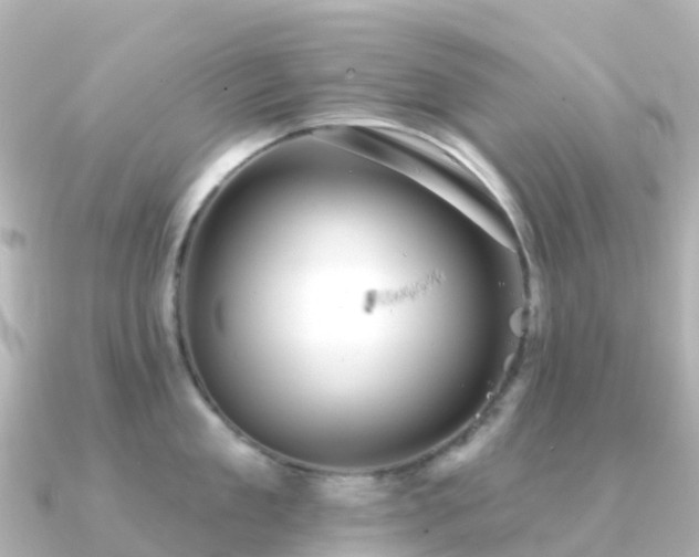 X0000091350909200708101527