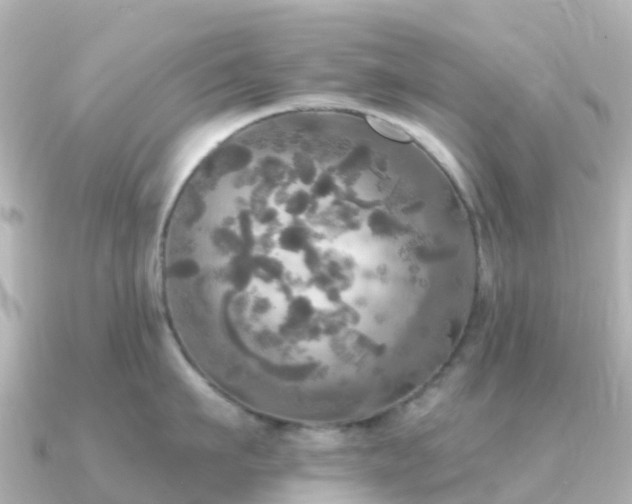 X0000091350911200708101527