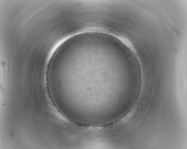 X0000091350912200708101527