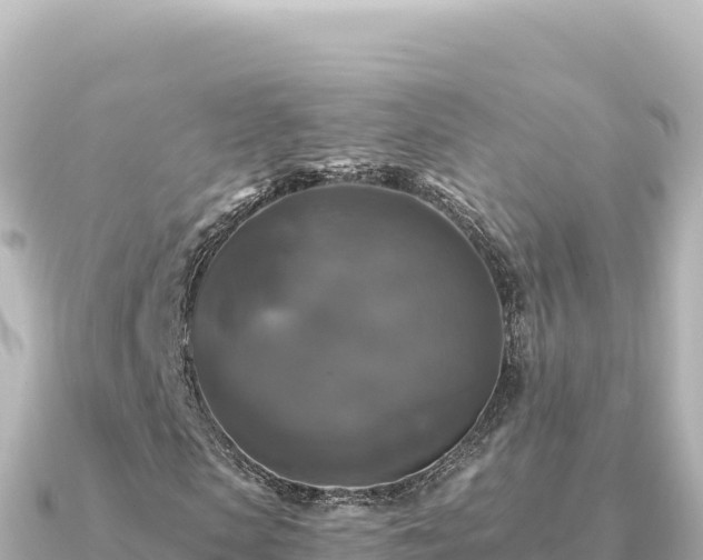 X0000091350913200708101527