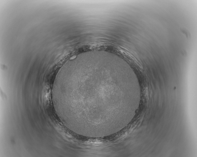 X0000091350914200708101527