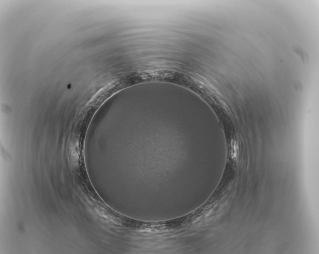 X0000091350915200708101527