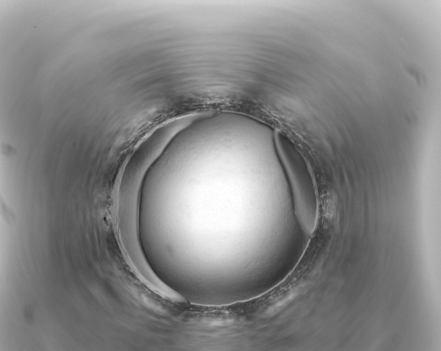 X0000091350916200708101527