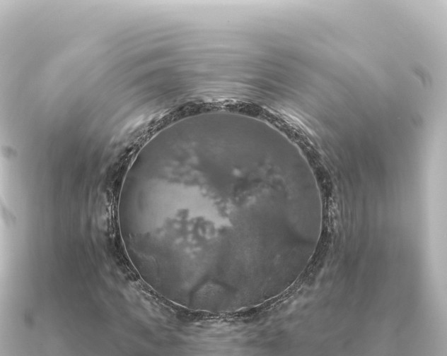 X0000091350917200708101527