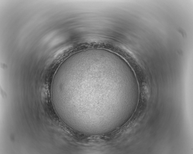 X0000091350918200708101527