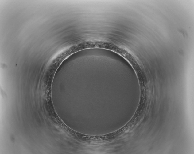X0000091350919200708101527