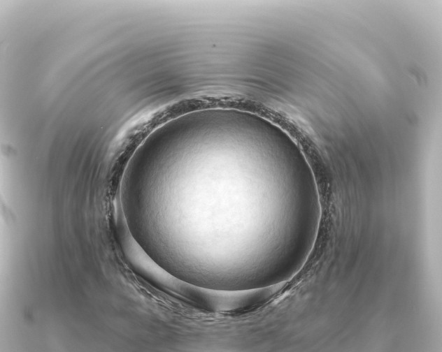 X0000091350920200708101527
