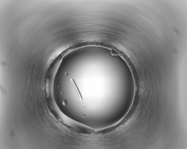 X0000091350922200708101527