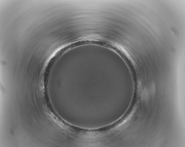 X0000091350923200708101527