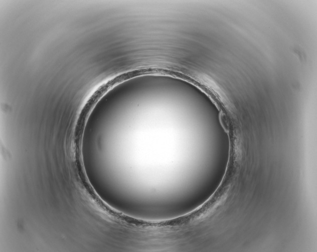 X0000091350924200708101527