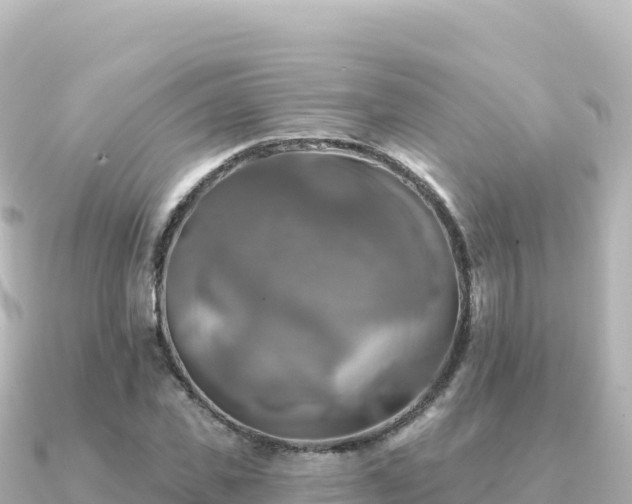 X0000091350925200708101527