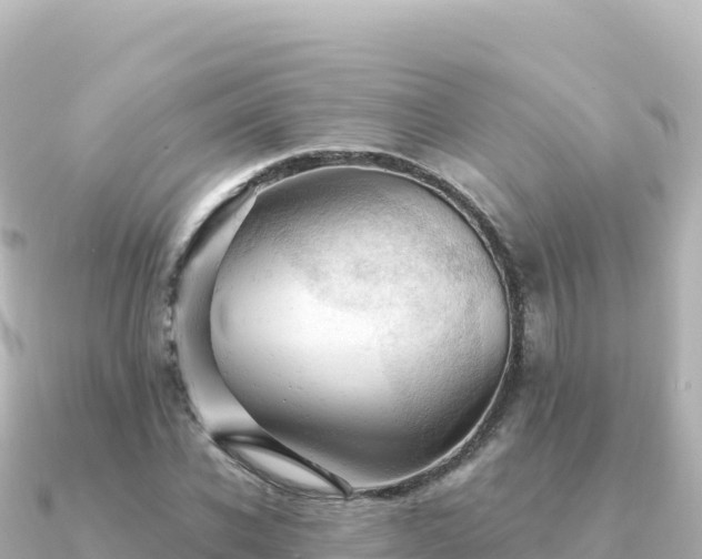 X0000091350926200708101527
