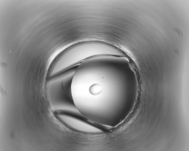 X0000091350928200708101527
