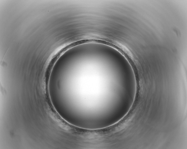 X0000091350931200708101527