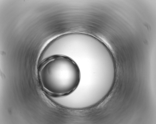 X0000091350932200708101527