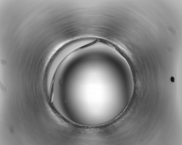 X0000091350934200708101527