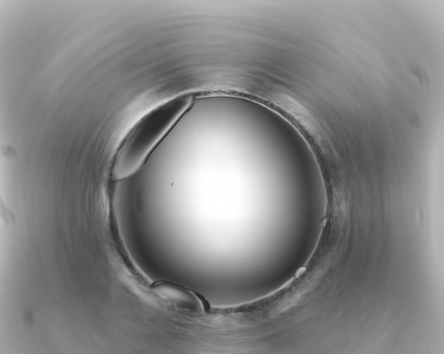 X0000091350936200708101527