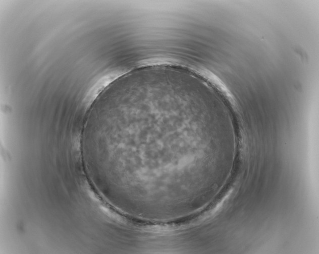 X0000091350937200708101527