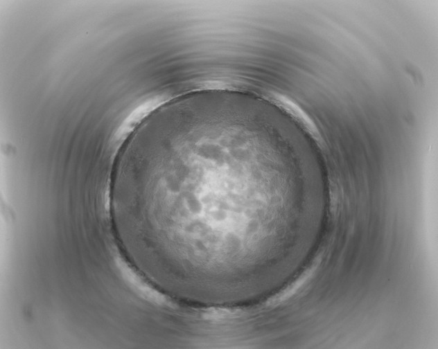 X0000091350938200708101527