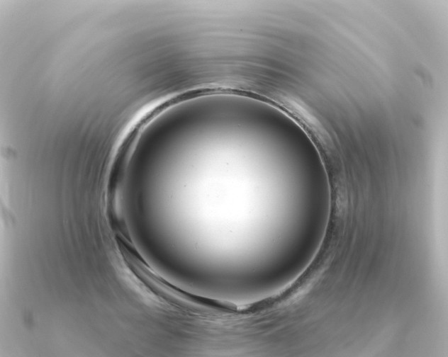 X0000091350940200708101527
