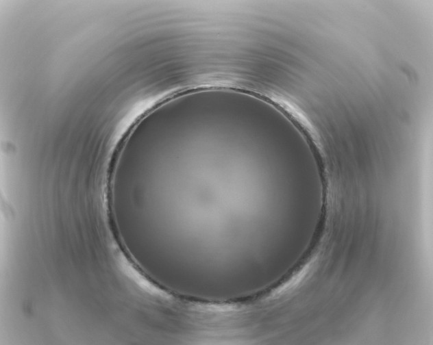 X0000091350941200708101527