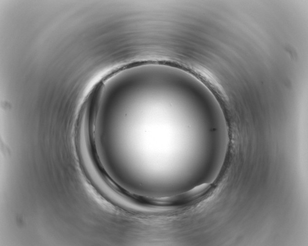 X0000091350942200708101527