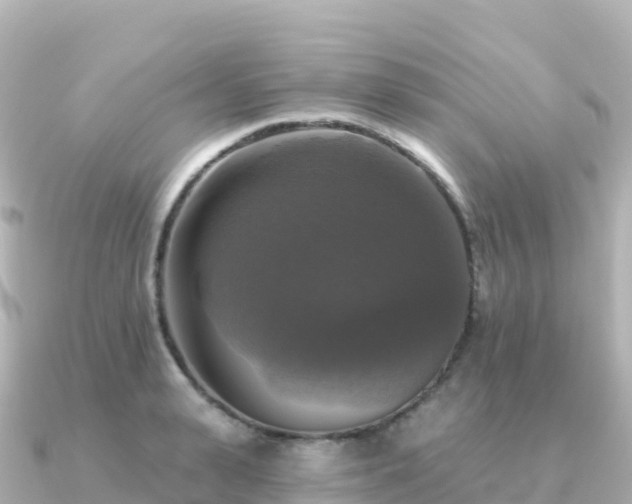 X0000091350943200708101527