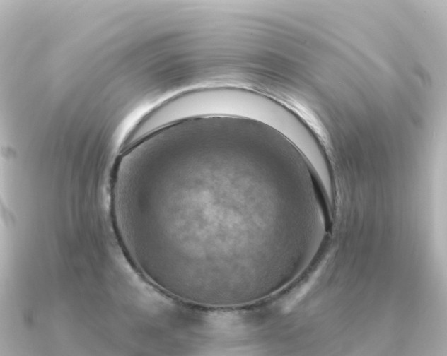 X0000091350944200708101527