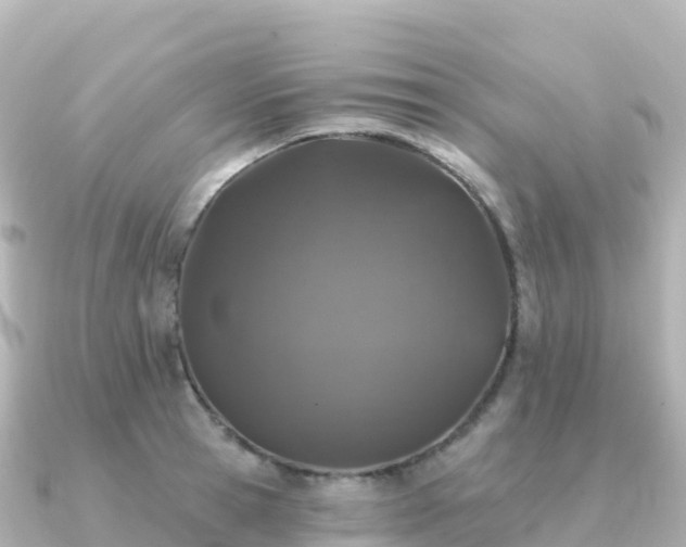 X0000091350945200708101527