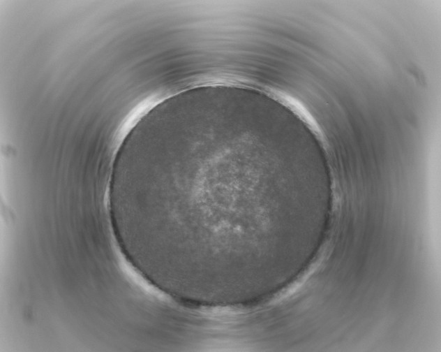 X0000091350946200708101527