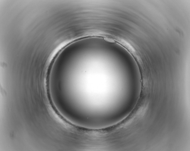 X0000091350947200708101527
