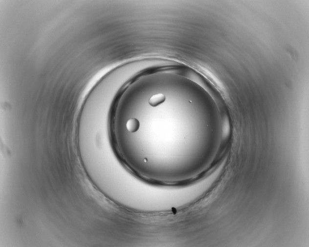 X0000091350948200708101527