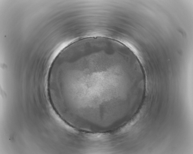 X0000091350949200708101527
