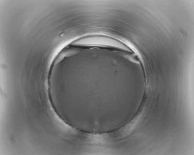 X0000091350951200708101527