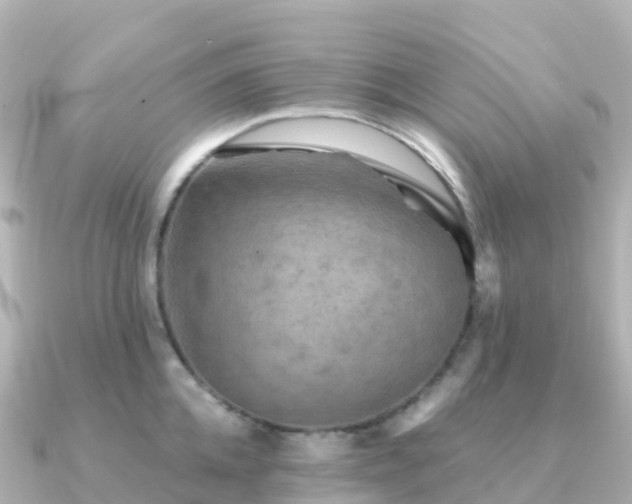 X0000091350952200708101527