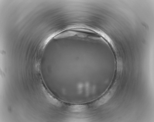 X0000091350953200708101527