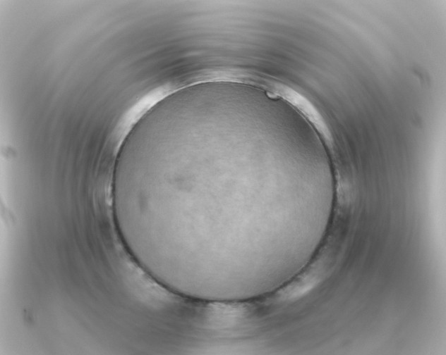 X0000091350954200708101527