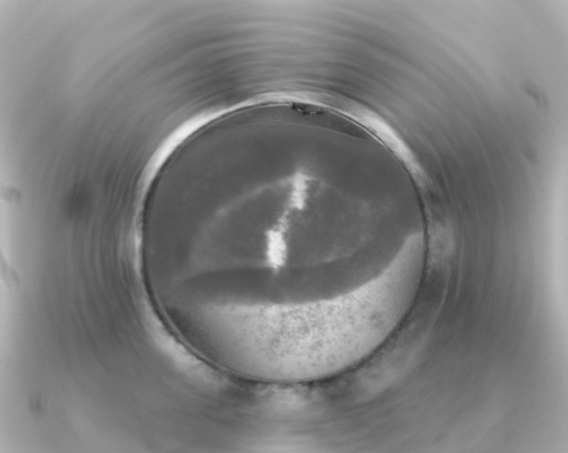 X0000091350955200708101527