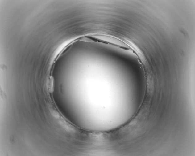 X0000091350956200708101527