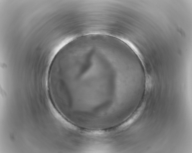 X0000091350957200708101527
