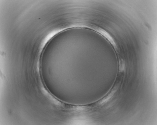 X0000091350958200708101527