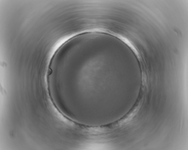 X0000091350959200708101527
